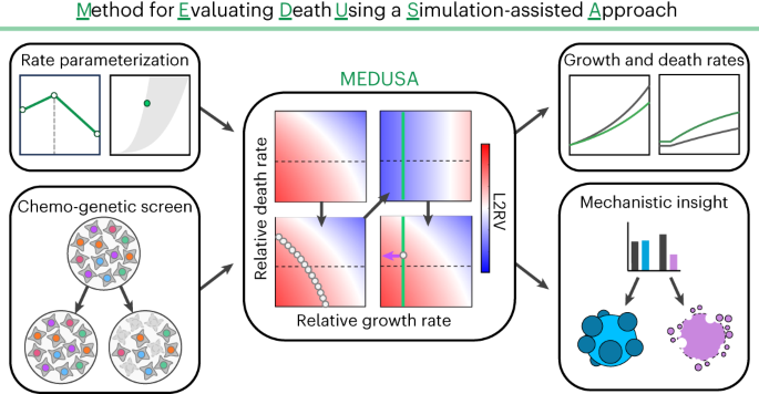 Functional genomic screens with death rate analyses reveal mechanisms of drug action