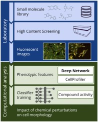Decoding Phenotypic Screening: A Comparative Analysis of Image Representations
