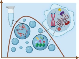 Liquid-liquid phase separation (LLPS) in DNA and chromatin systems from the perspective of colloid physical chemistry