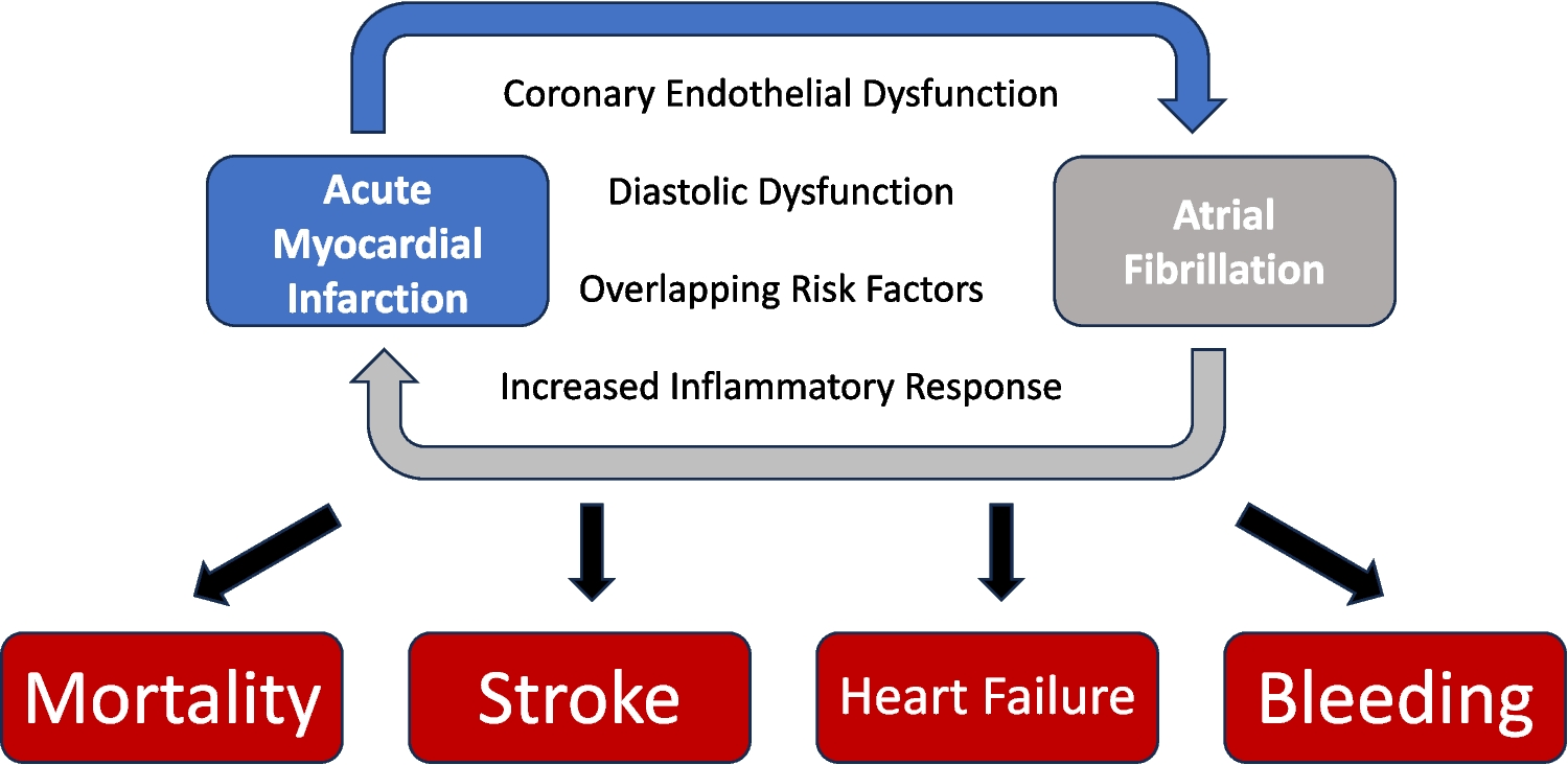 Atrial Fibrillation Complicating Acute Myocardial Infarction: Prevalence, Impact, and Management Considerations