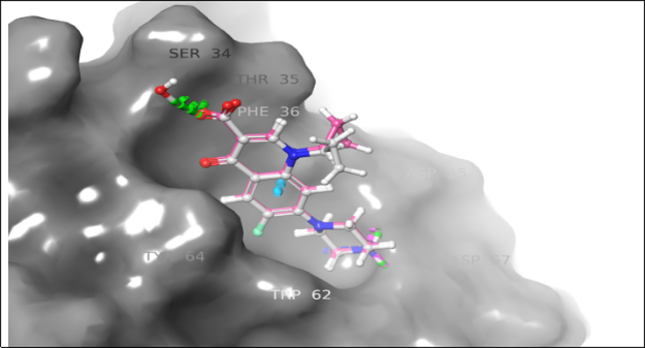 Fragment-based drug design of novel inhibitors targeting lipoprotein (a) kringle domain KIV-10-mediated cardiovascular disease