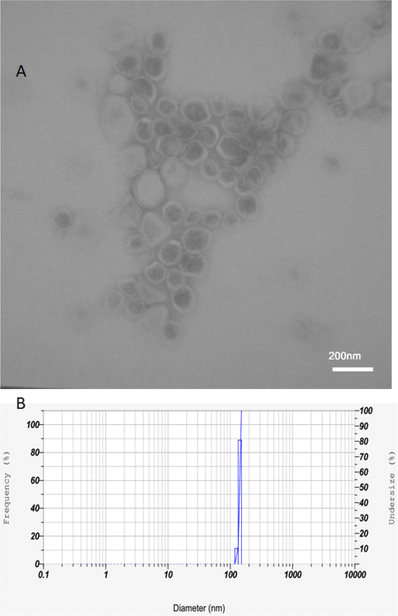 RGD-decorated nanoliposomes for combined delivery of arsenic trioxide and curcumin to prostate cancer cells