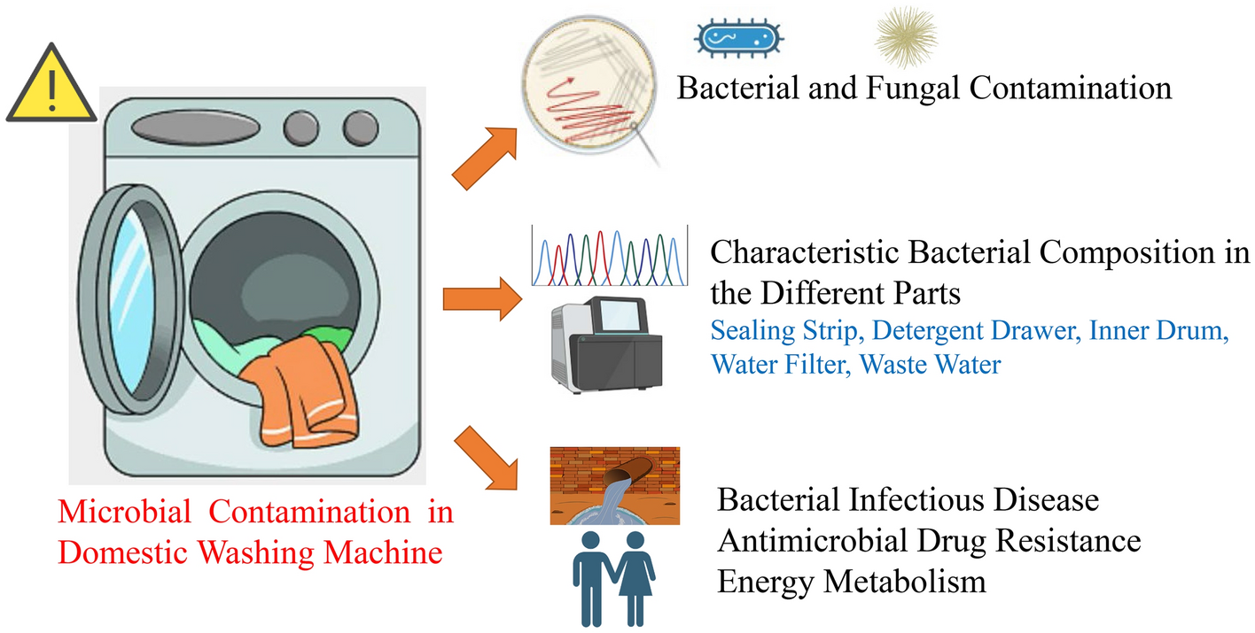 Bacterial Contamination in the Different Parts of Household Washing Machine: New Insights from Chengdu, Western China