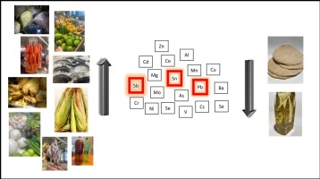 Food groups consumption and urinary metal mixtures in women from Northern Mexico