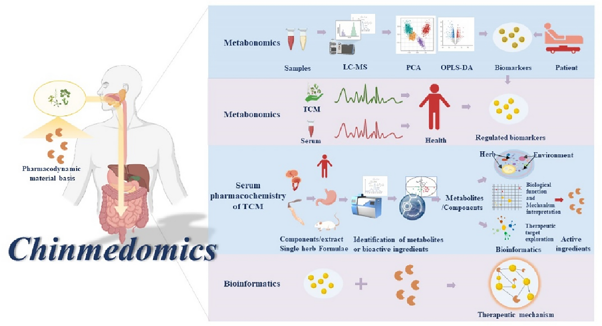 Chinmedomics: a potent tool for the evaluation of traditional Chinese medicine efficacy and identification of its active components