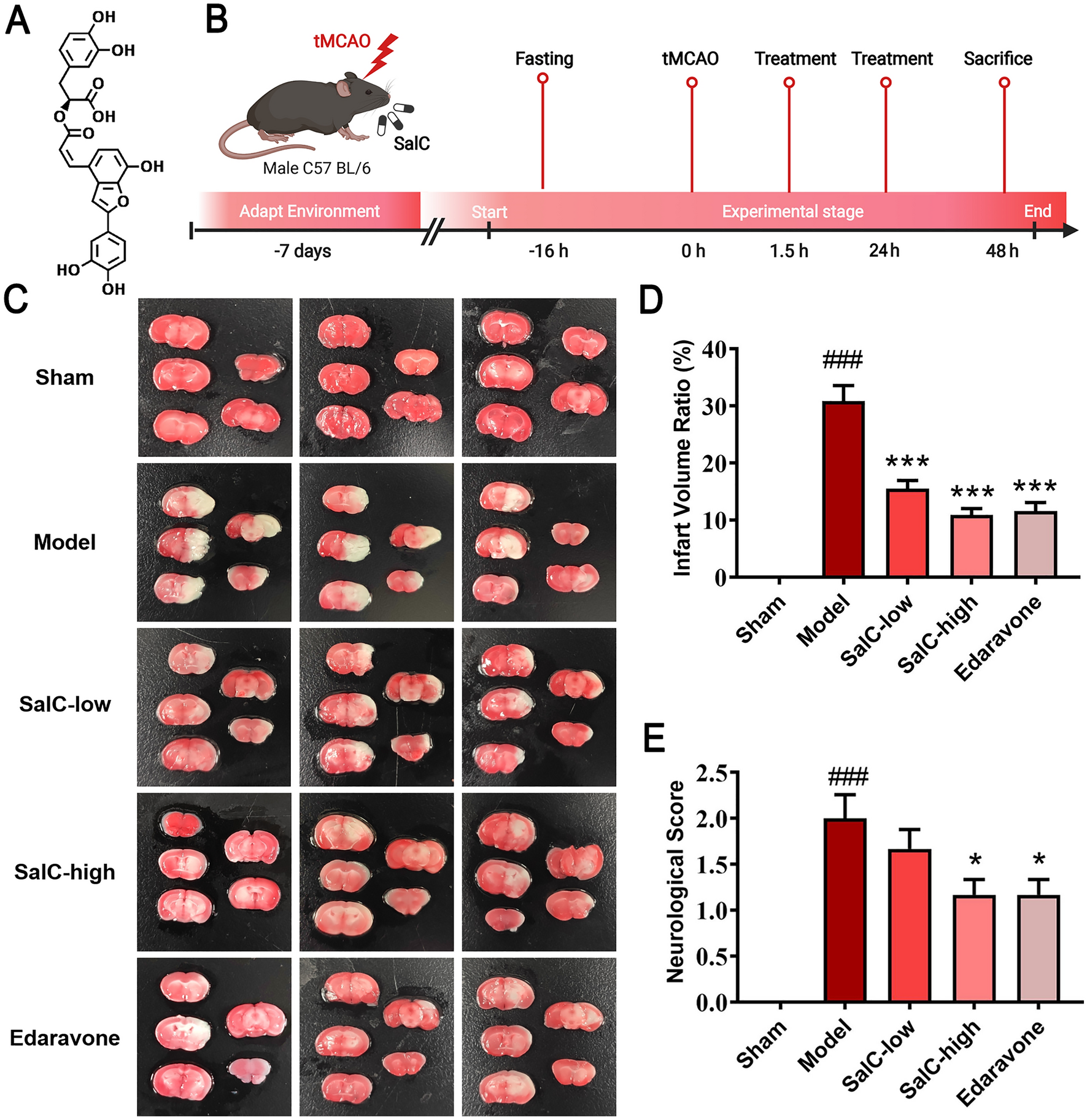 Salvianolic acid C attenuates cerebral ischemic injury through inhibiting neuroinflammation via the TLR4-TREM1-NF-κB pathway