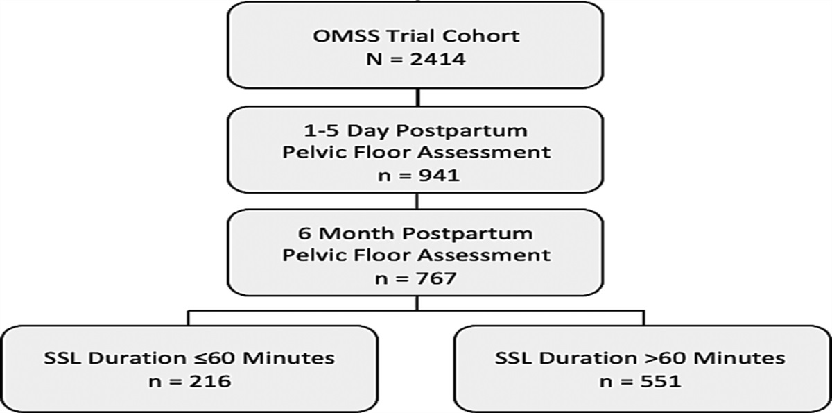 Impact of the Duration of the Second Stage of Labor on Postpartum Pelvic Floor Symptoms