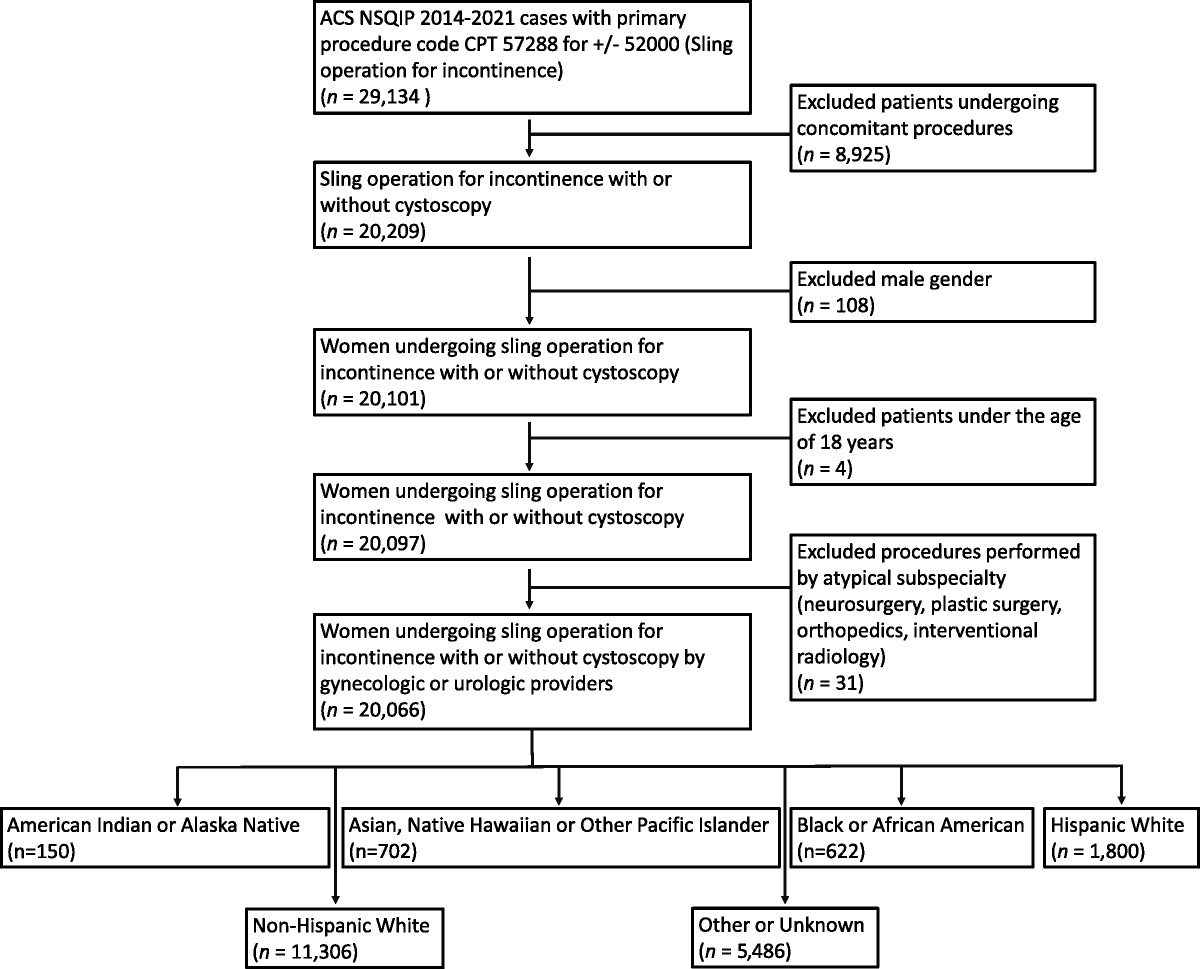 Postoperative Complications After Sling Operations for Incontinence: Is Race a Factor?