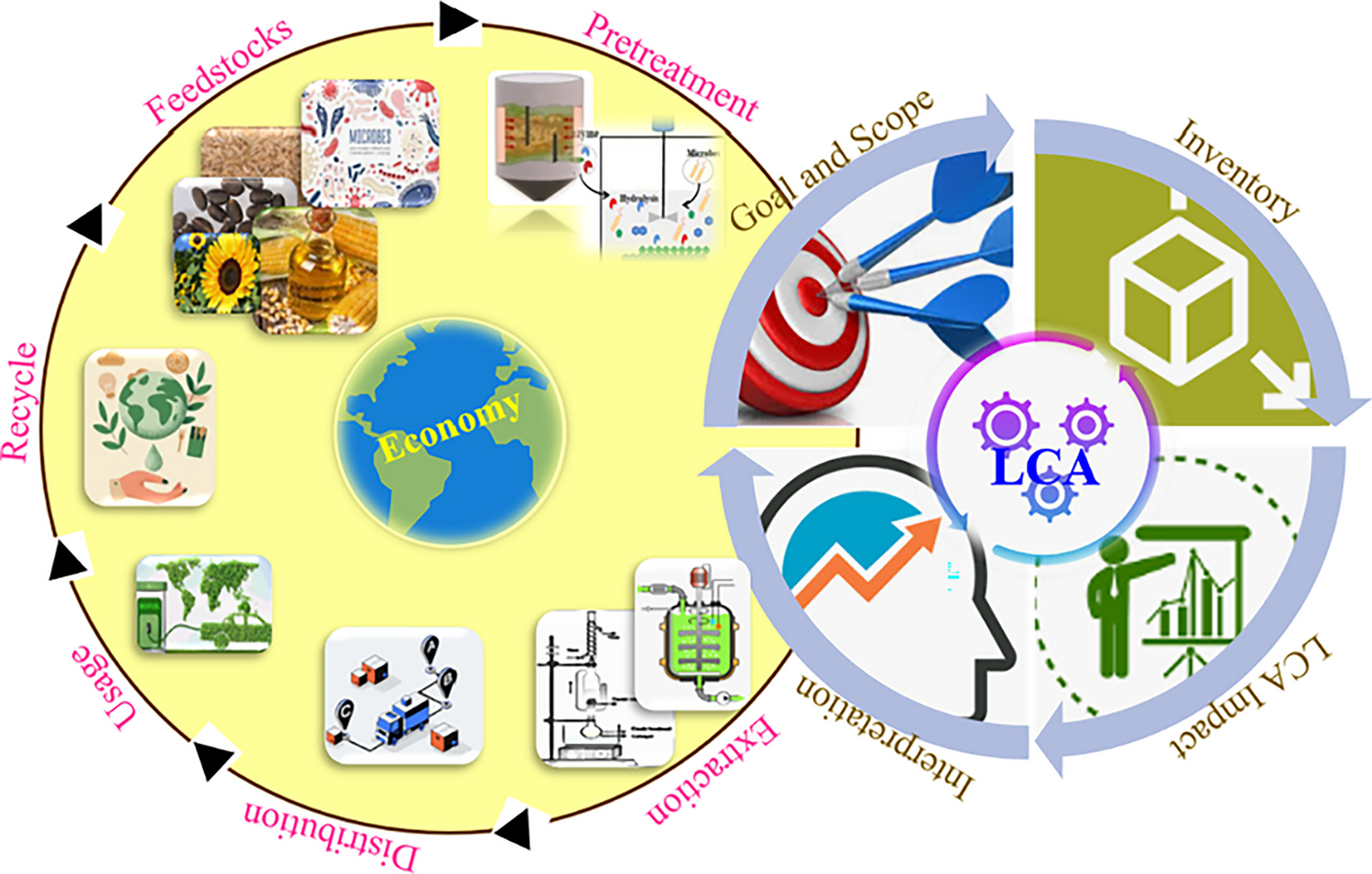 A comparative assessment of microbial biodiesel and its life cycle analysis