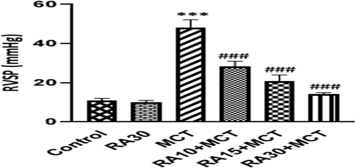 The Role of Rosmarinic Acid in the Protection Against Inflammatory Factors in Rats Model With Monocrotaline-Induced Pulmonary Hypertension: Investigating the Signaling Pathway of NFκB, OPG, Runx2, and P-Selectin in Heart