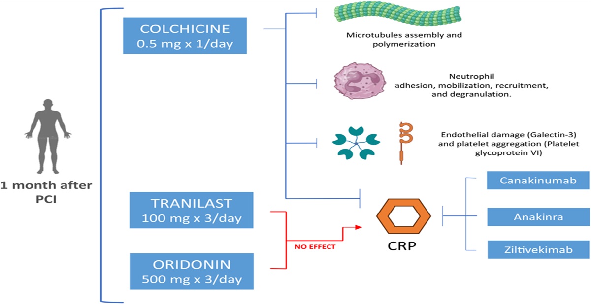 Colchicine Leads the Charge in Post-percutaneous Coronary Intervention Anti-inflammatory Defense
