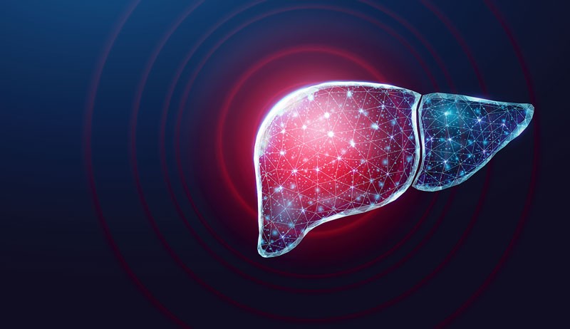 NASH field celebrates ‘hurrah moment’ with a first FDA drug approval for the liver disease