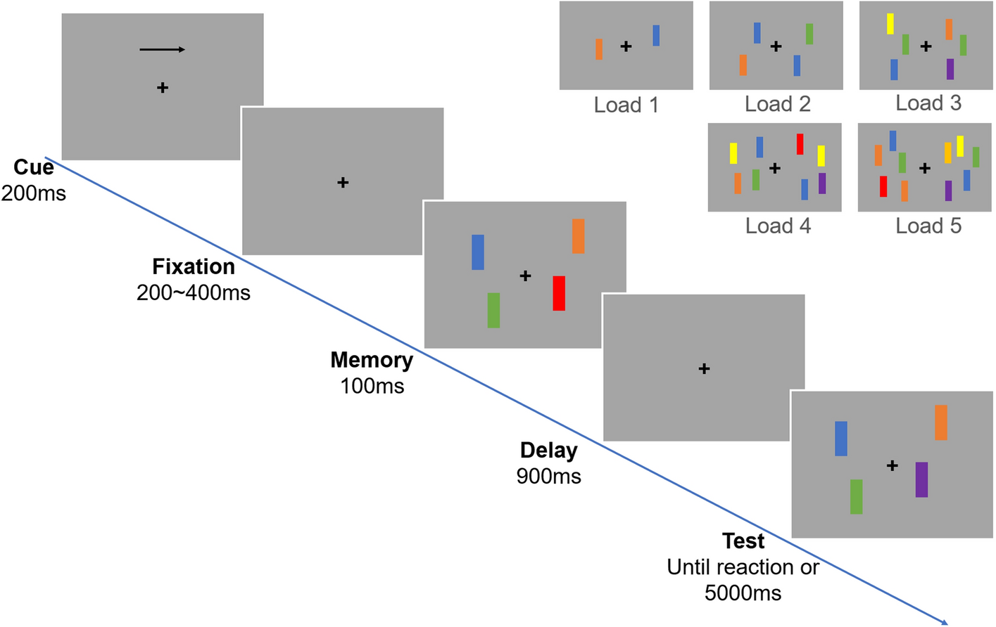 High-altitude exposure leads to increased modularity of brain functional network with the increased occupation of attention resources in early processing of visual working memory