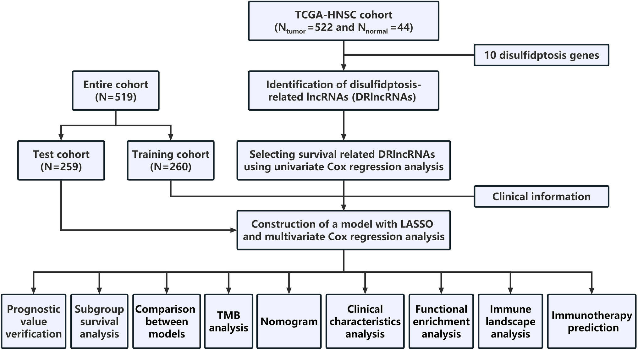 Identification of a disulfidptosis-related lncRNA signature for the prognostic and immune landscape prediction in head and neck squamous cell carcinoma