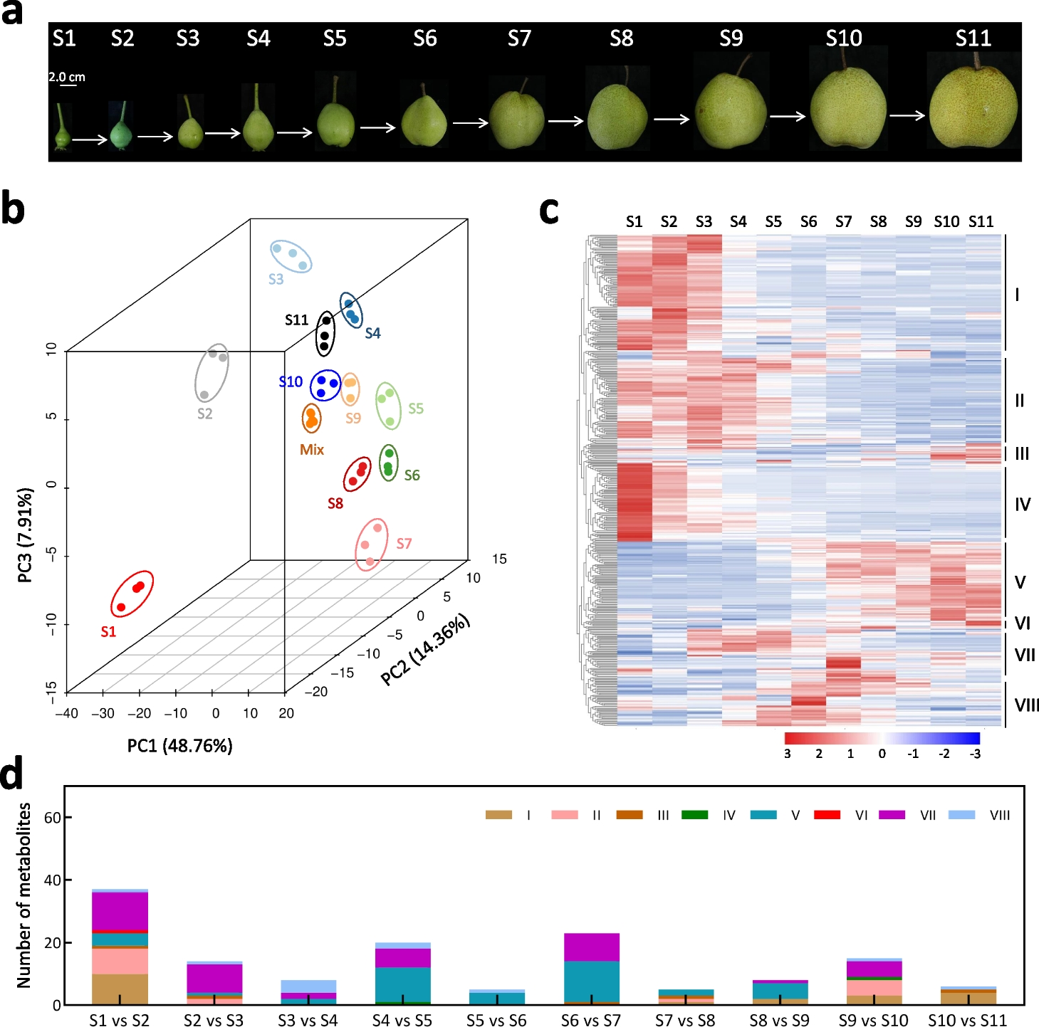 Multi-omics provide insights into the regulation of DNA methylation in pear fruit metabolism