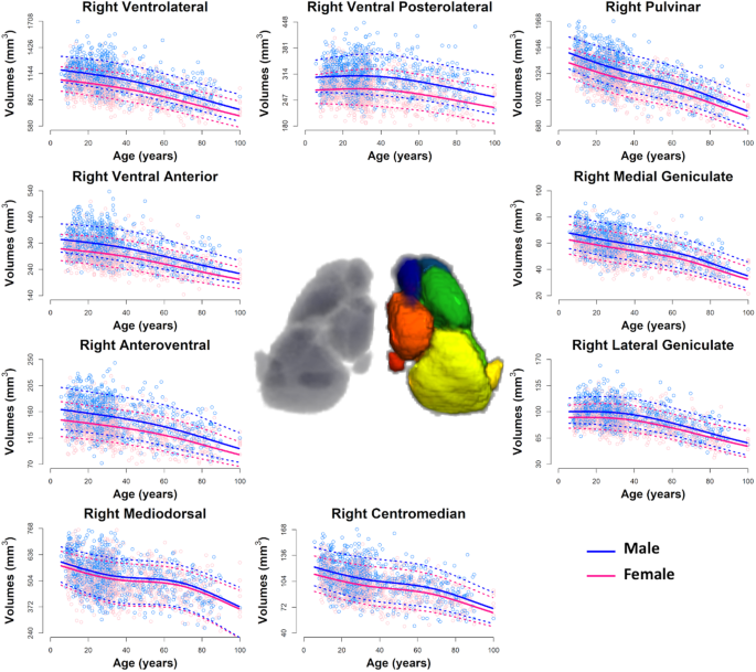 Lifespan development of thalamic nuclei and characterizing thalamic nuclei abnormalities in schizophrenia using normative modeling