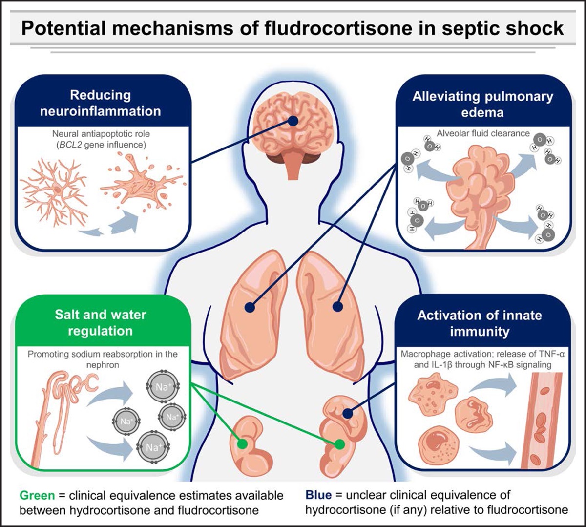 Should Fludrocortisone be Added to Hydrocortisone in Septic Shock? Probably Yes, Based on Available Evidence*