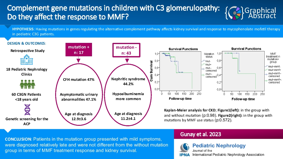 Complement gene mutations in children with C3 glomerulopathy: do they affect the response to mycophenolate mofetil?