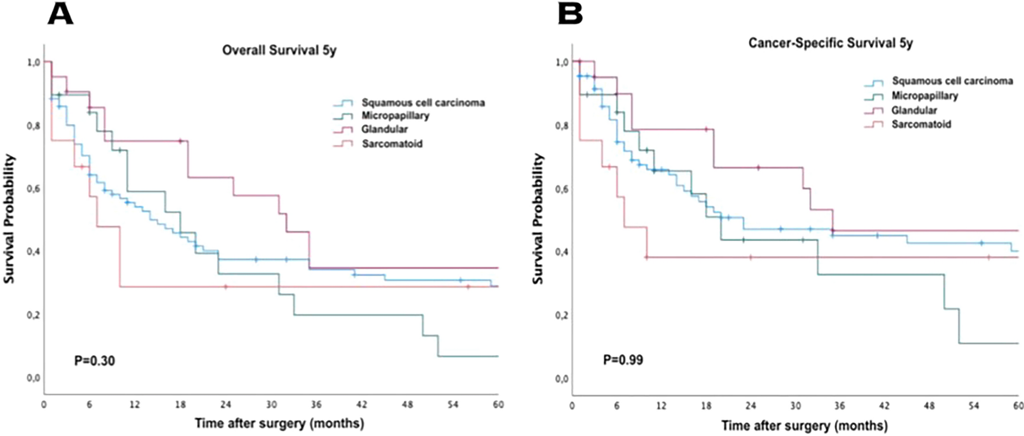 Predicting individual outcomes after radical cystectomy in urothelial variants with Cancer of the Bladder Risk Assessment (COBRA) score
