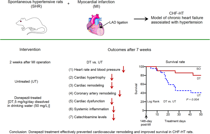 Donepezil attenuates progression of cardiovascular remodeling and improves prognosis in spontaneously hypertensive rats with chronic myocardial infarction