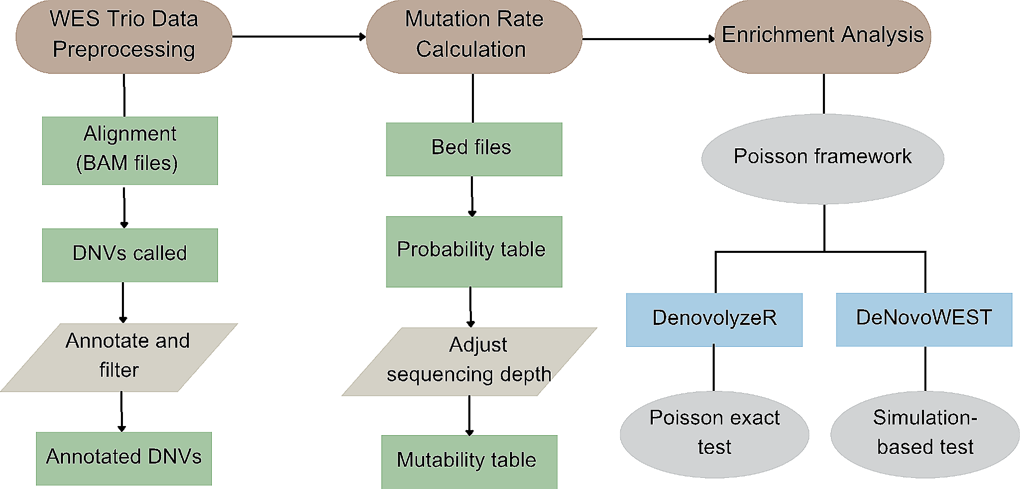 Statistical methods for assessing the effects of de novo variants on birth defects