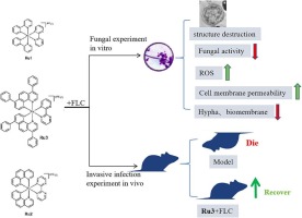 Antifungal activity of ruthenium (II) complex combined with fluconazole against drug-resistant Candida albicans in vitro and its anti-invasive infection in vivo