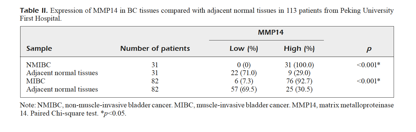 Author Correction: High expression of MMP14 is associated with progression and poor short-term prognosis in muscle-invasive bladder cancer