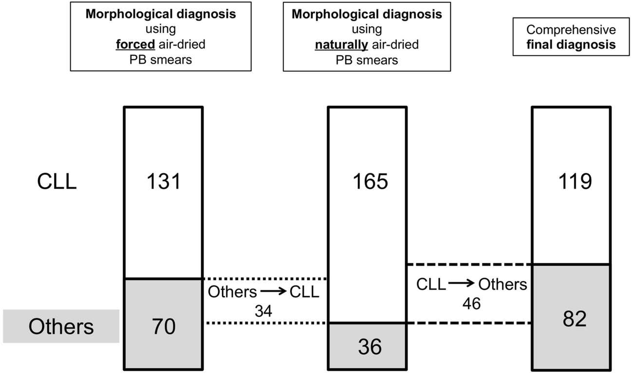 Characteristics of chronic lymphocytic leukemia in Japan: Comprehensive analysis of the CLLRSG-01 study