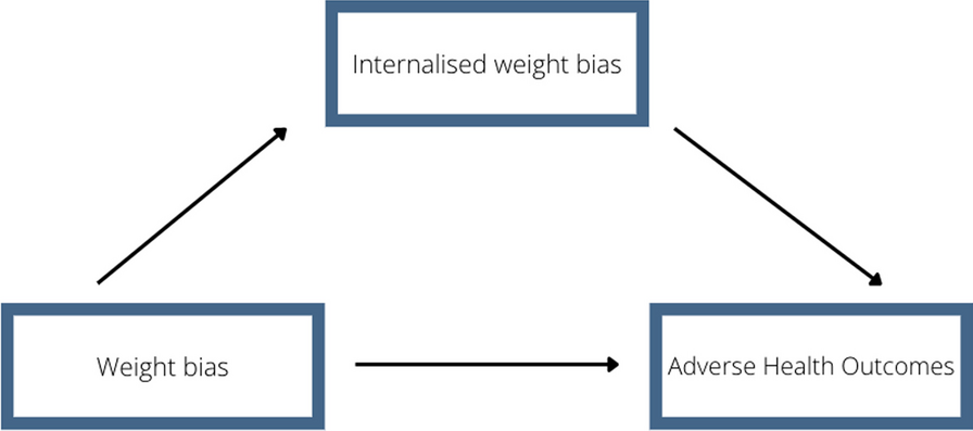 The relationship between internalised weight bias and biopsychosocial outcomes in children and youth: a systematic review