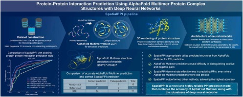 SpatialPPI: Three-dimensional Space Protein-Protein Interaction Prediction With AlphaFold Multimer