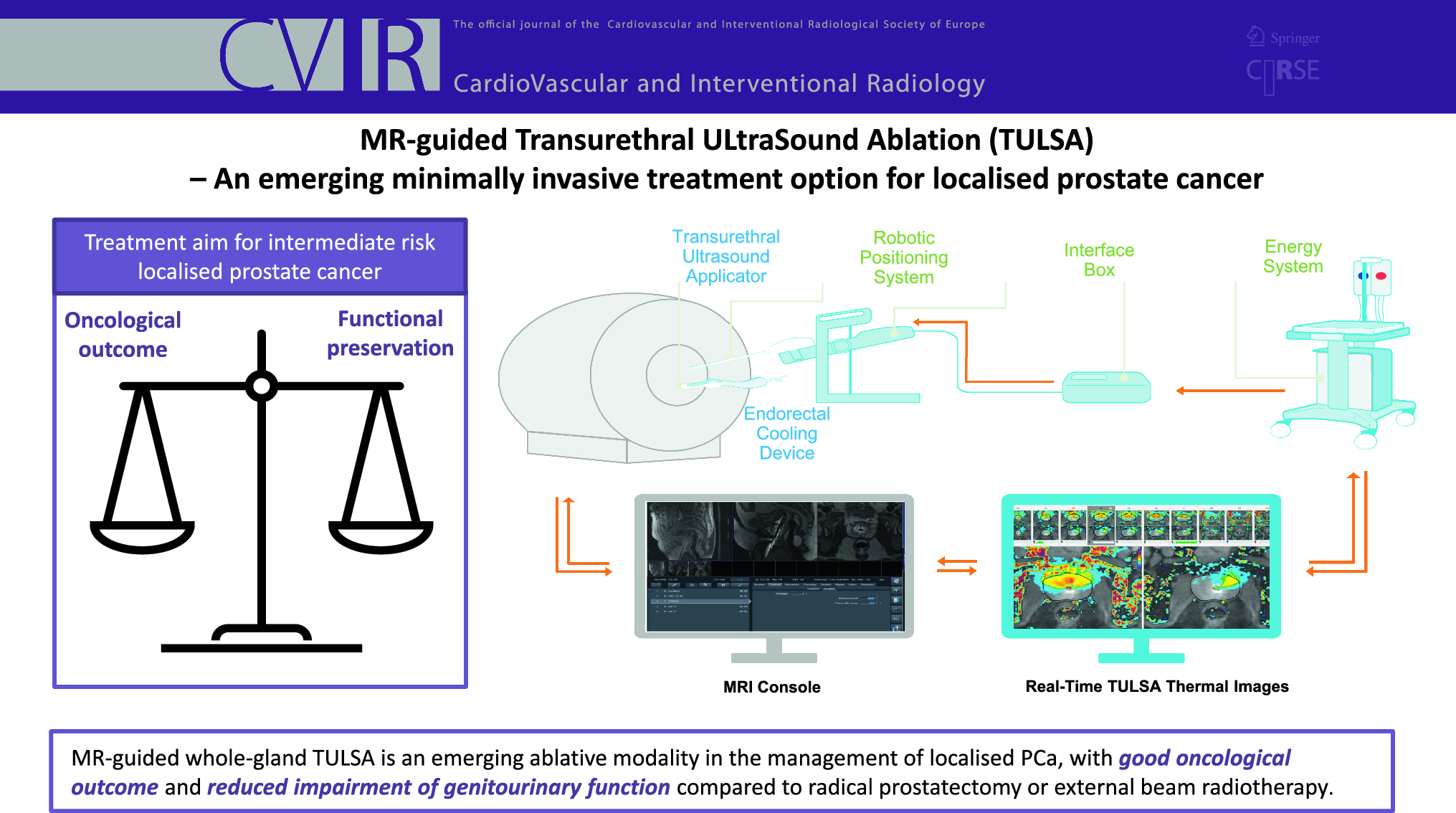 MR-Guided Transurethral Ultrasound Ablation (TULSA)—An Emerging Minimally Invasive Treatment Option for Localised Prostate Cancer
