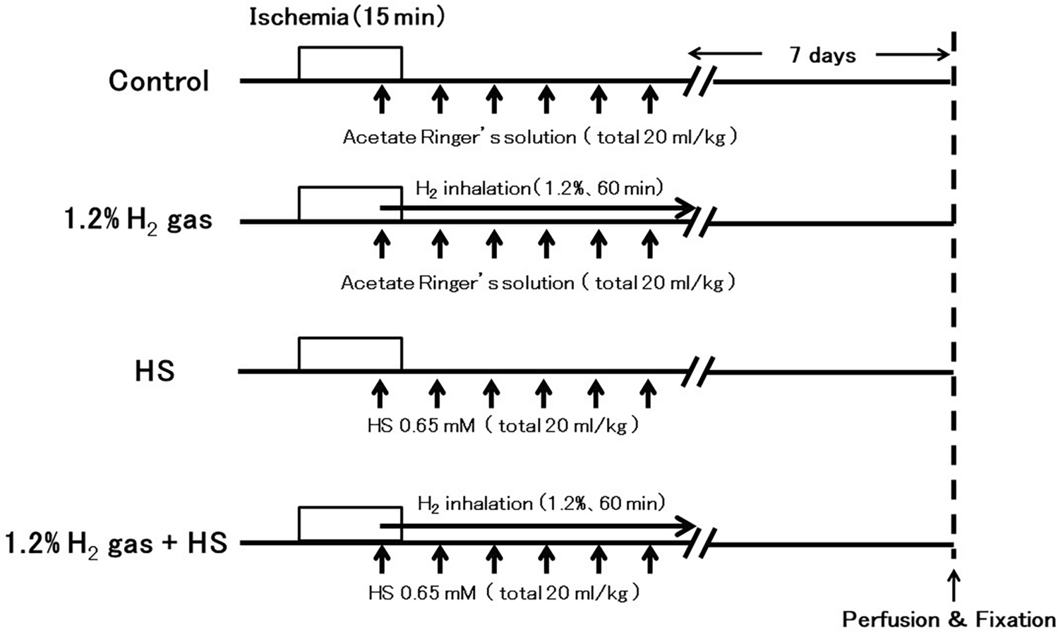 The combination of hydrogen gas and hydrogen-rich solution does not protect against ischemic spinal cord injury in rabbits