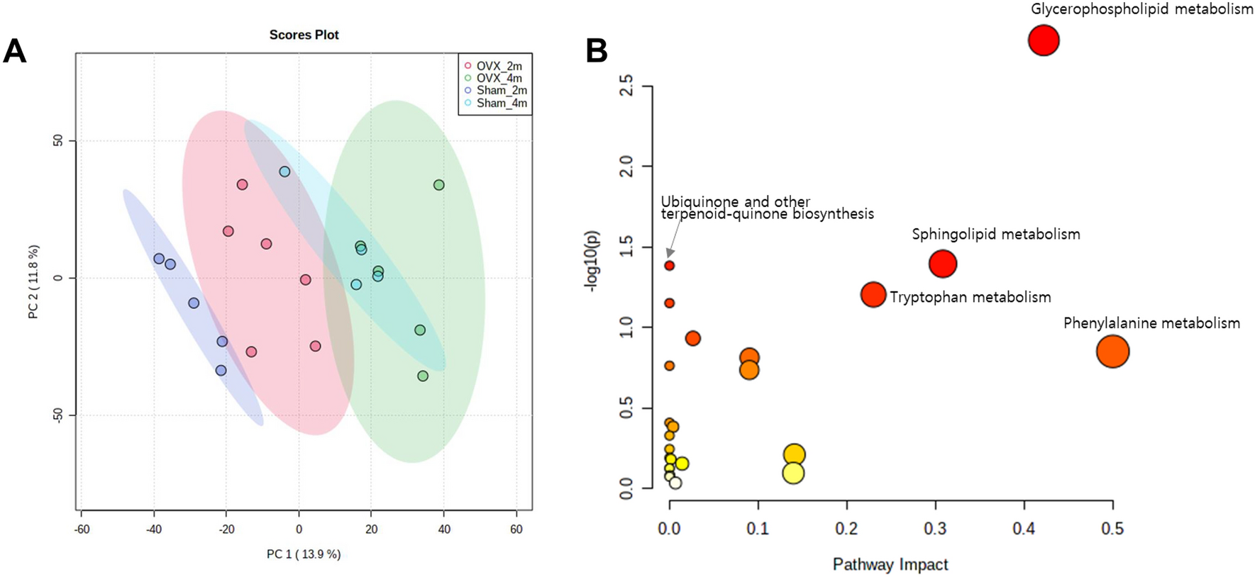 Metabolomic profiles of ovariectomized mice and their associations with body composition and frailty-related parameters in postmenopausal women