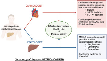 Metabolic dysfunction-associated steatotic liver disease: An opportunity for collaboration between cardiology and hepatology