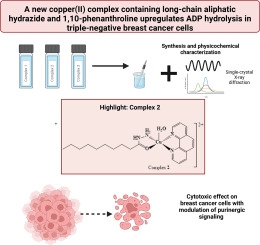 A new copper(II) complex containing long-chain aliphatic hydrazide and 1,10-phenanthroline upregulates ADP hydrolysis in triple-negative breast cancer cells