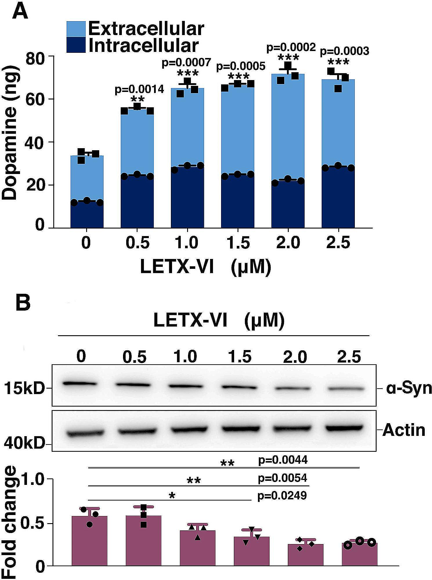 Effects of latroeggtoxin-VI on dopamine and α-synuclein in PC12 cells and the implications for Parkinson’s disease