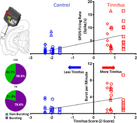 Tinnitus-related increases in single-unit activity in awake rat auditory cortex correlate with tinnitus behavior
