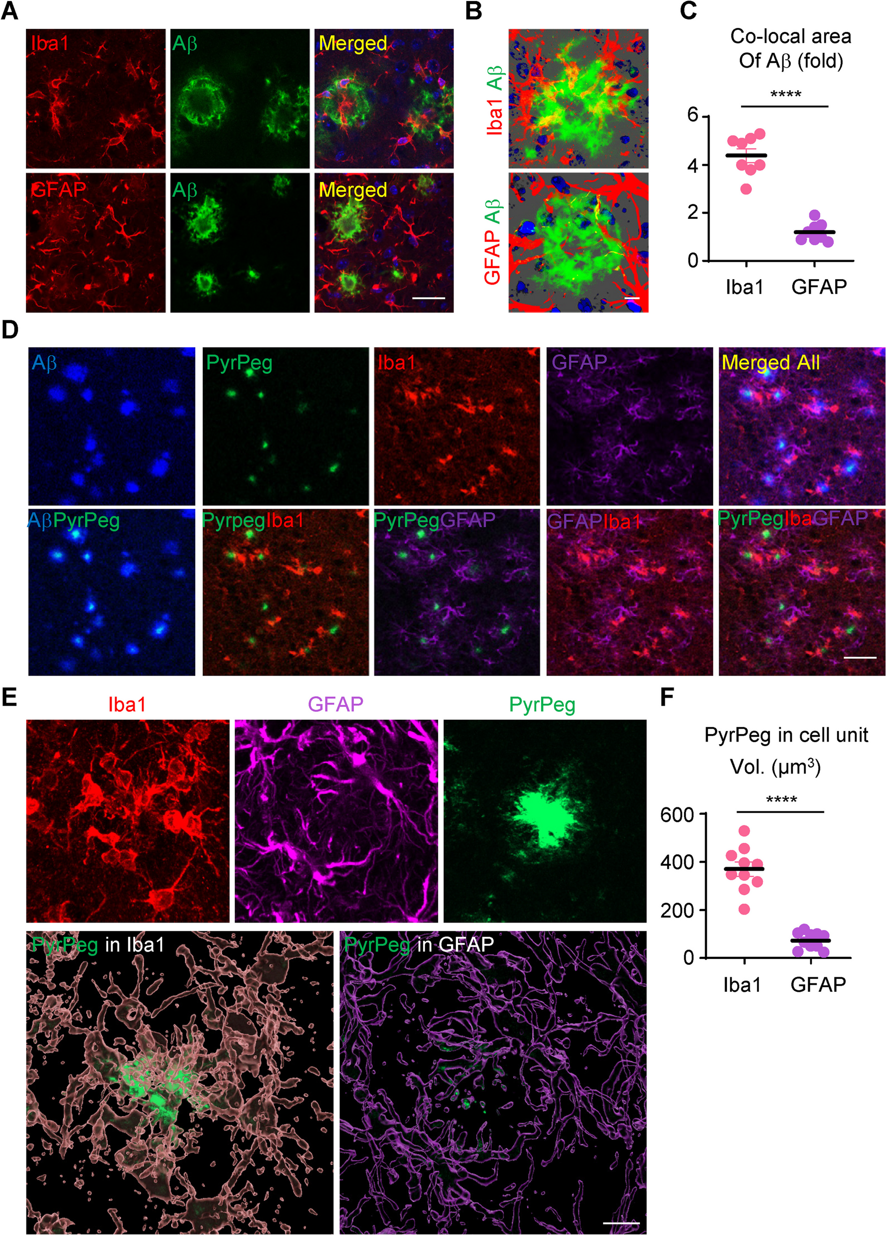 Rejuvenating aged microglia by p16ink4a-siRNA-loaded nanoparticles increases amyloid-β clearance in animal models of Alzheimer’s disease