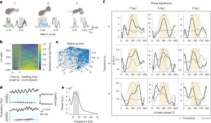 The dynamic state of a prefrontal–hypothalamic–midbrain circuit commands behavioral transitions