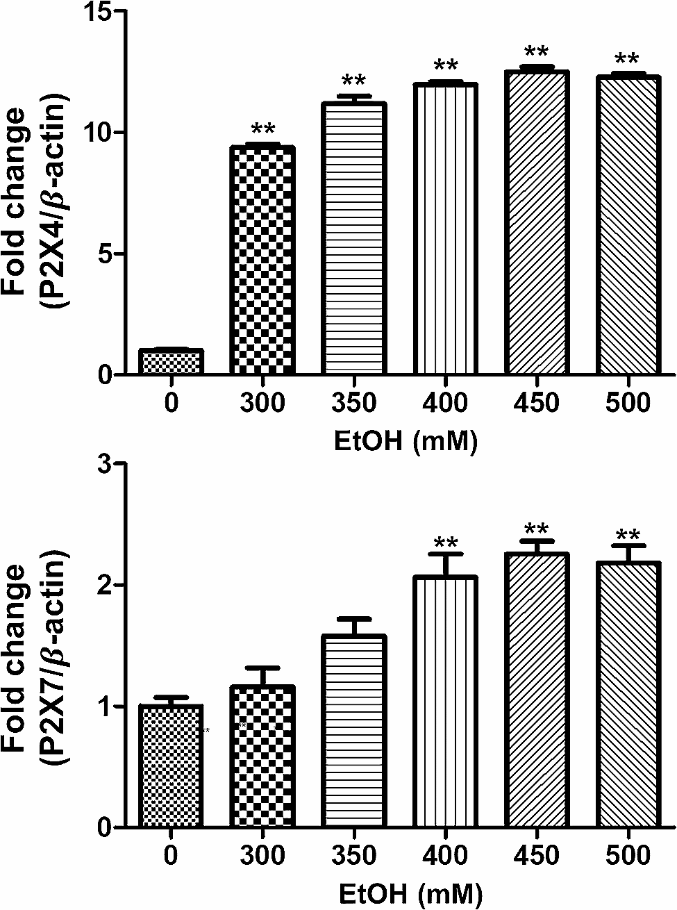 Suppression of P2X4 and P2X7 by Lactobacillus rhamnosus vitaP1: effects on hangover symptoms