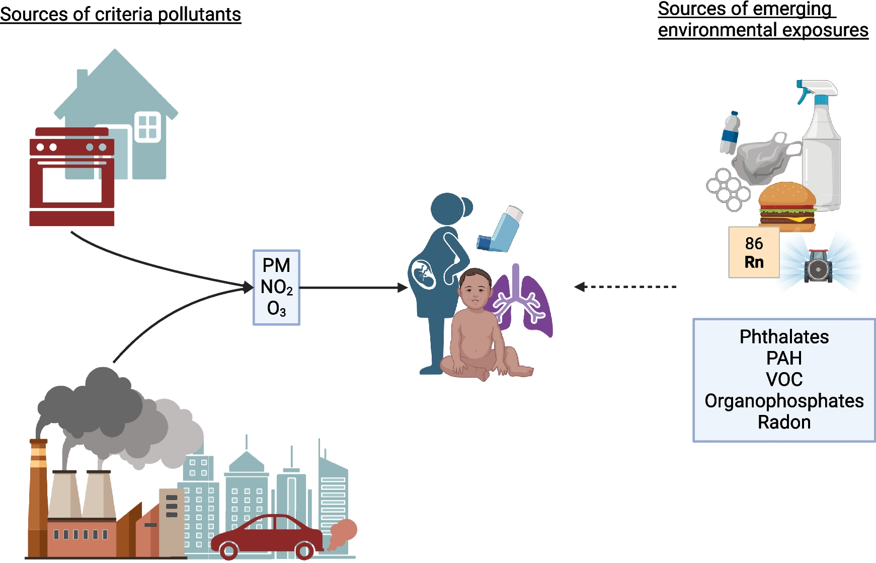 Recent Insights into the Environmental Determinants of Childhood Asthma