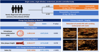 Effect of combining evolocumab with statin on carotid intraplaque neovascularization in patients with premature coronary artery disease (EPOCH)
