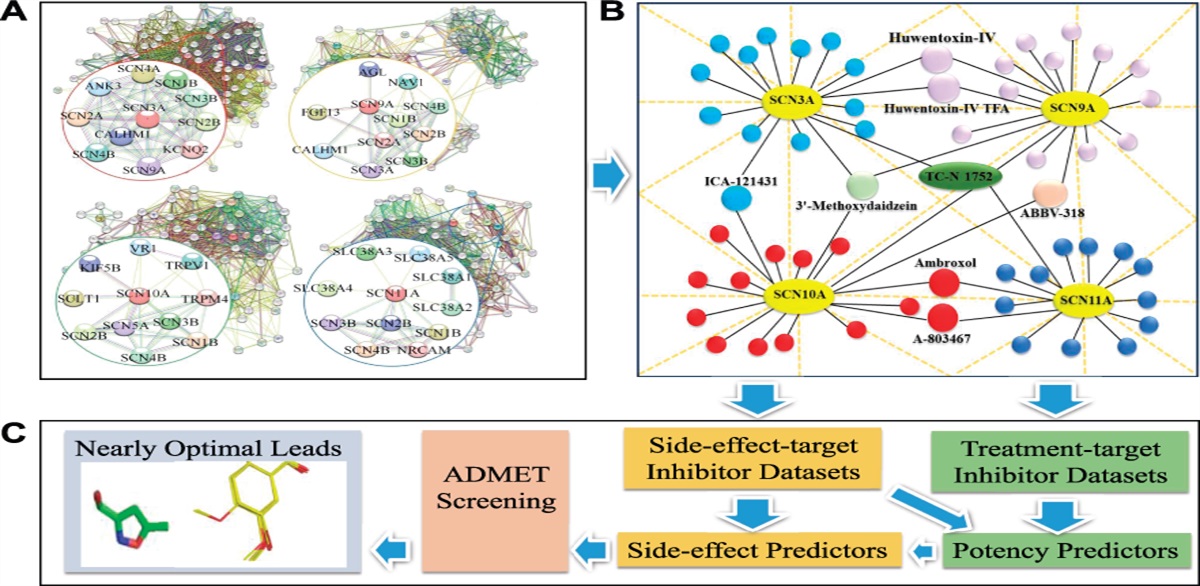 Machine learning study of the extended drug–target interaction network informed by pain related voltage-gated sodium channels
