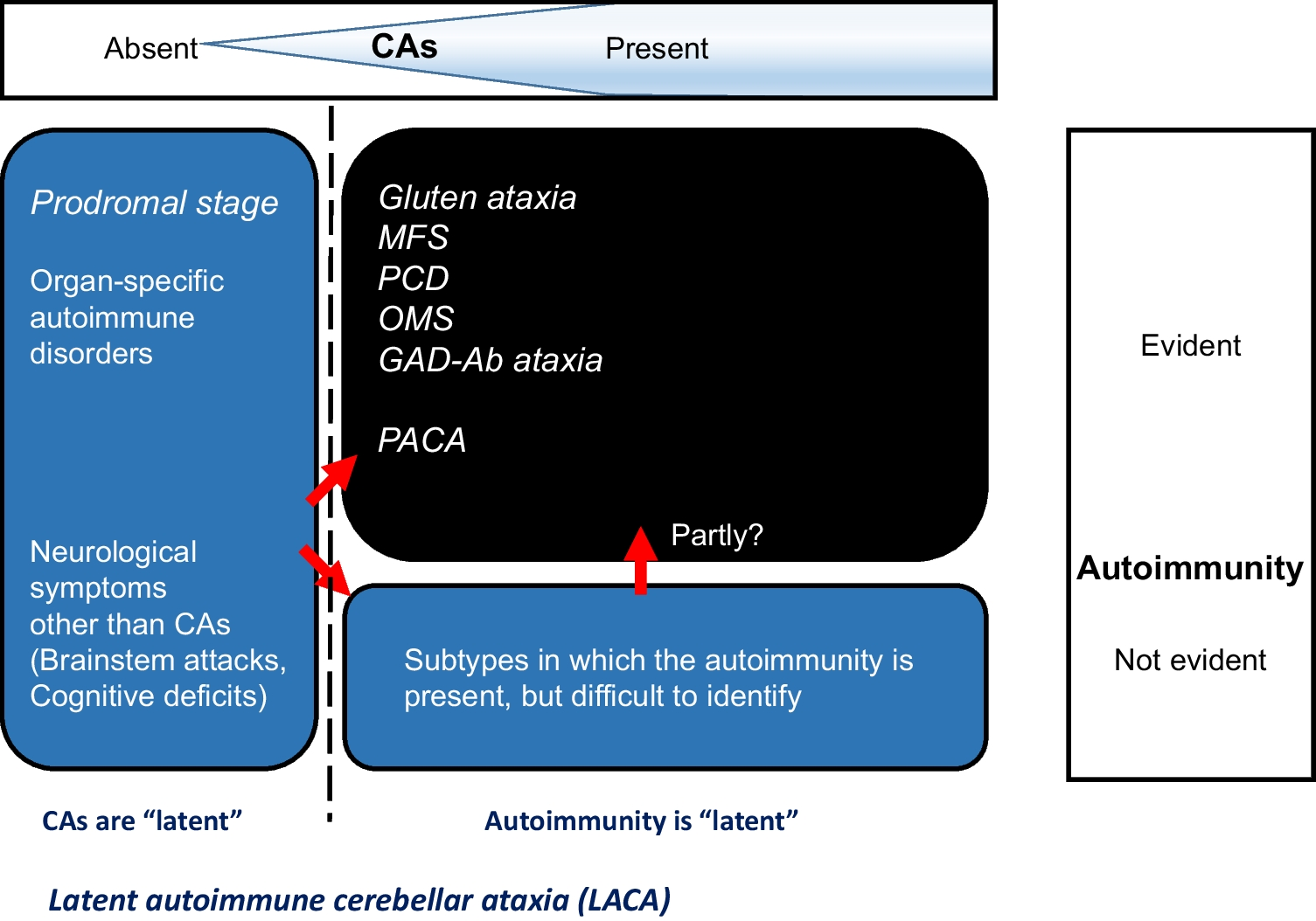 Consensus Paper: Latent Autoimmune Cerebellar Ataxia (LACA)