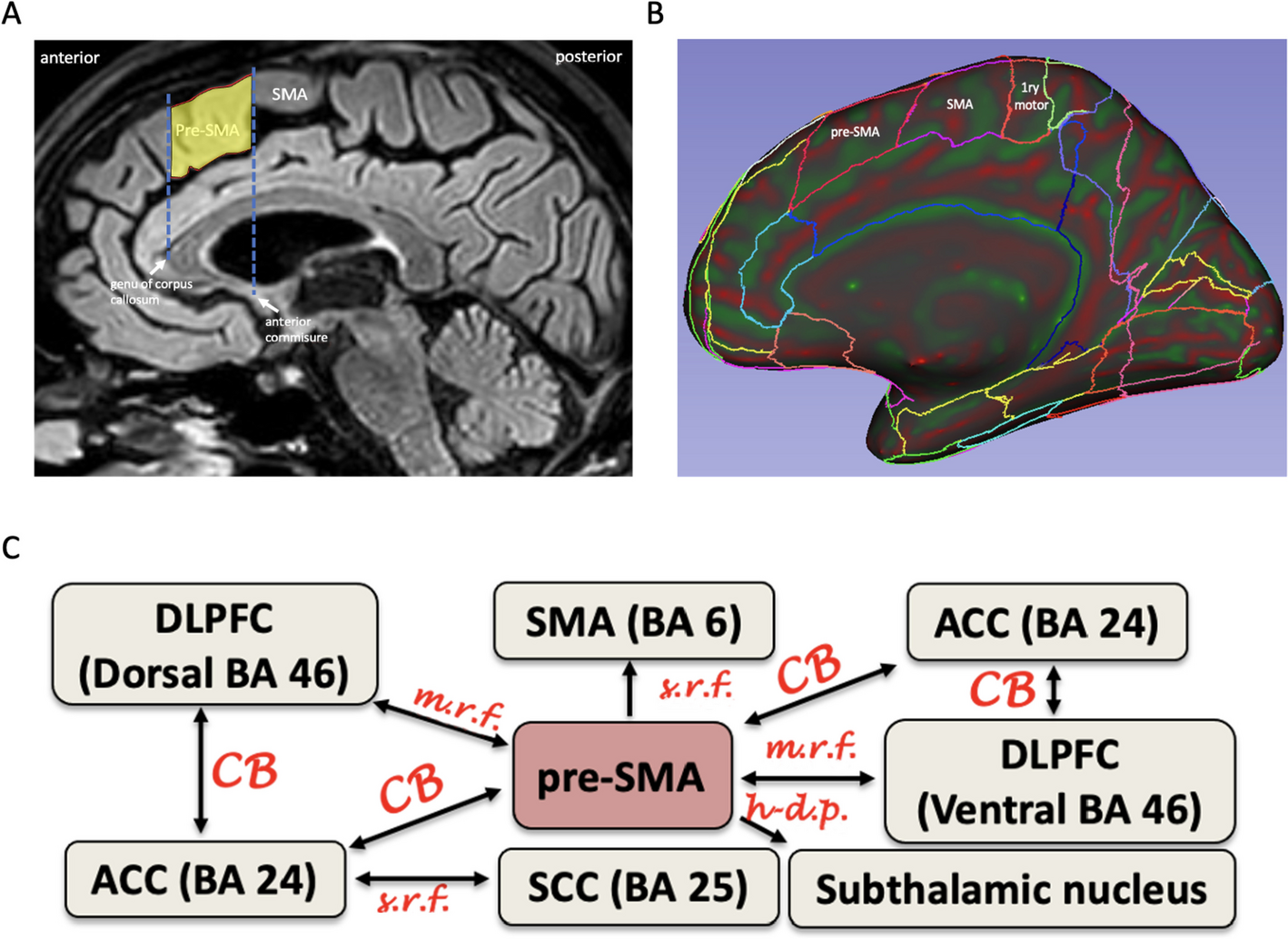Treatment of Behavioral Addictions and Substance Use Disorders: a Focus on the Effects of Theta-Burst Stimulation Over the Pre-SMA