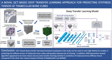 A novel QCT-based deep transfer learning approach for predicting stiffness tensor of trabecular bone cubes