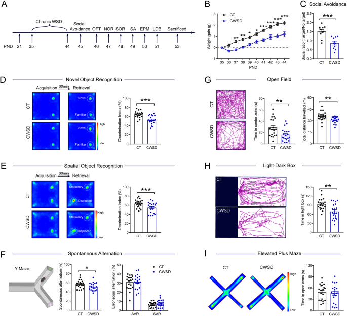 Dorsal CA3 overactivation mediates witnessing stress-induced recognition memory deficits in adolescent male mice