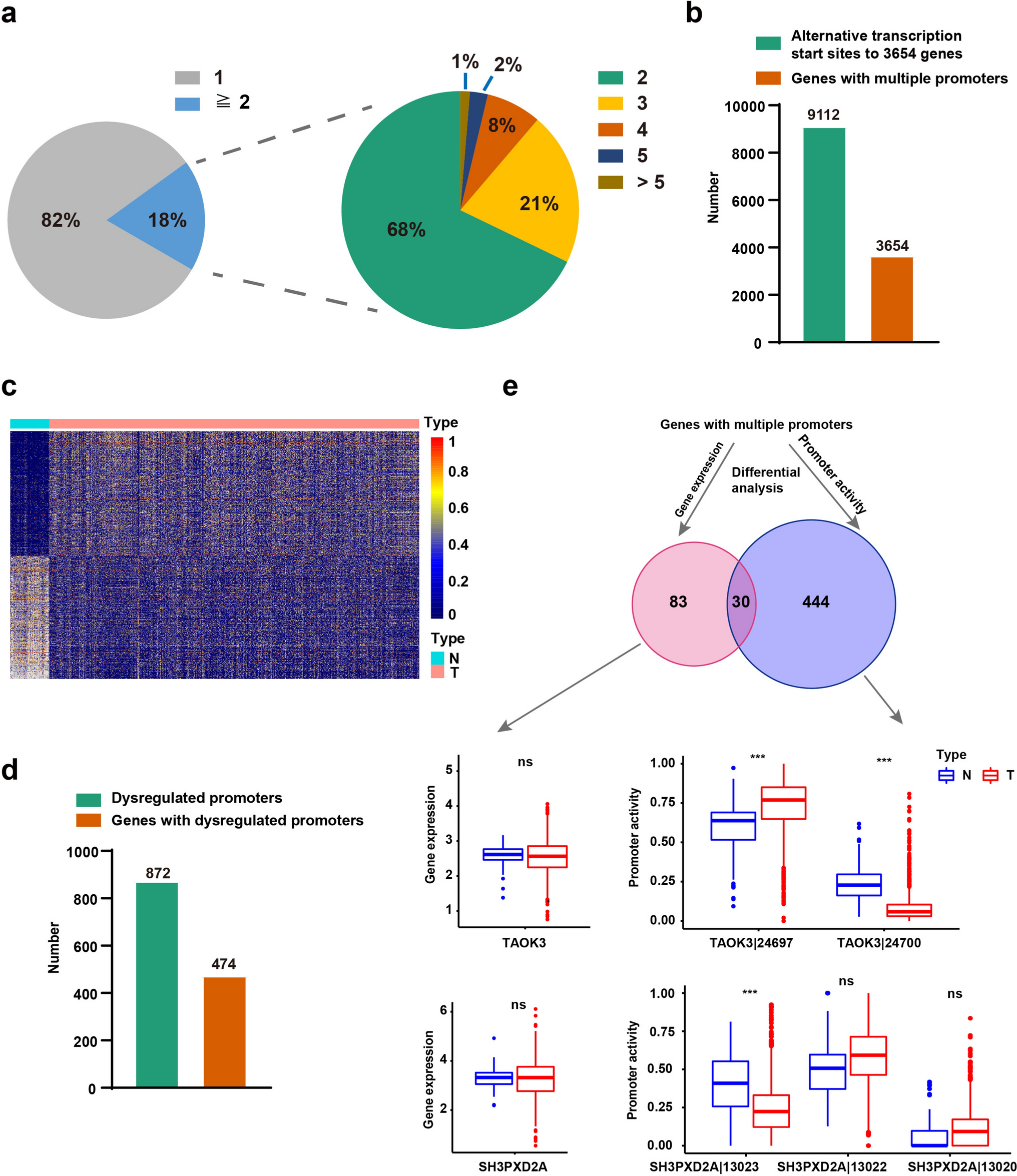 Genome-wide analyses reveal the regulatory roles of DNA methylation-regulated alternative promoter transcripts in breast cancer