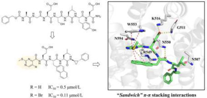 Computer-aided molecular design and optimization of potent inhibitors disrupting APC‒Asef interaction