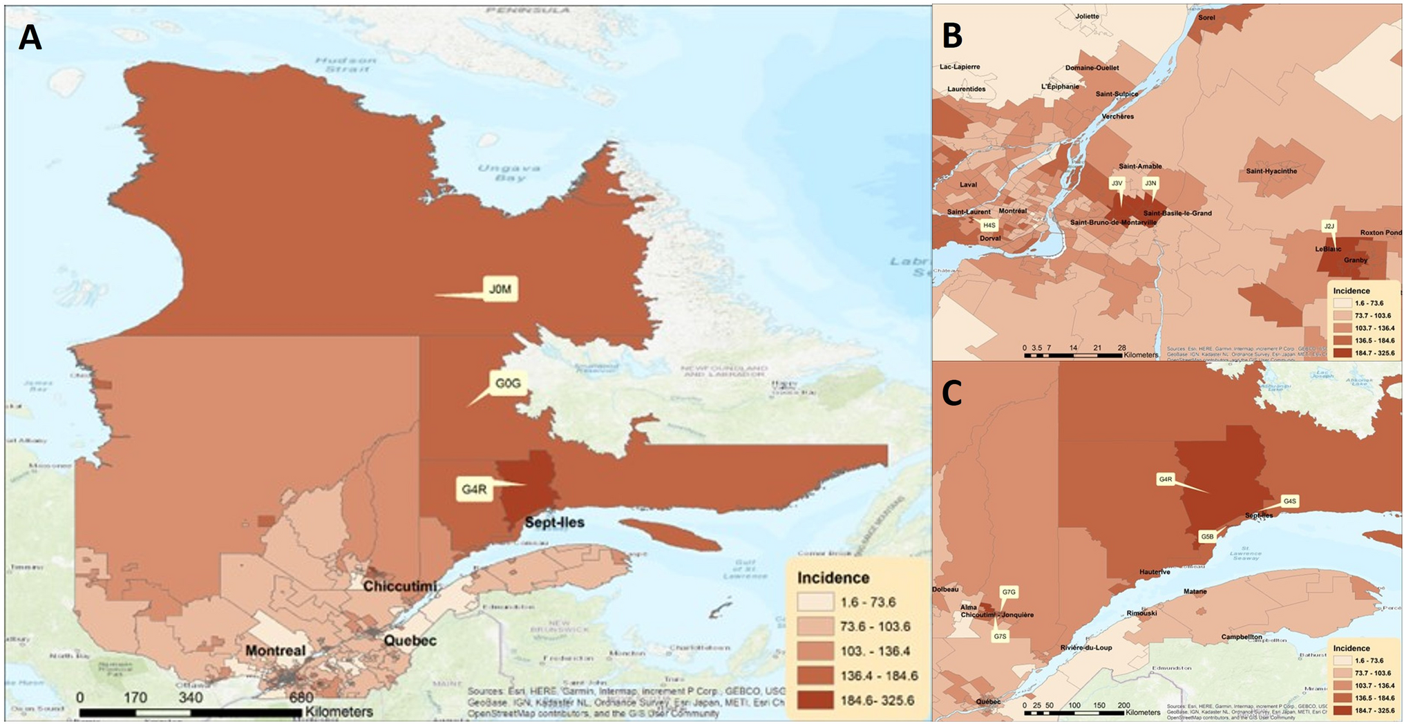 Tree-Based Machine Learning to Identify Predictors of Psoriasis Incidence at the Neighborhood Level: A Populational Study from Quebec, Canada